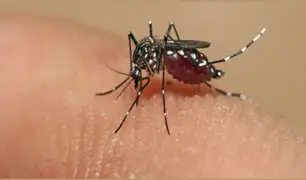 Brasil declara fin de la emergencia sanitaria por virus del zika