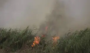 Fiscalía realizará investigaciones por incendio forestal en Nuevo Chimbote