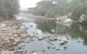 Cientos de peces muertos aparecen en el río Lurín