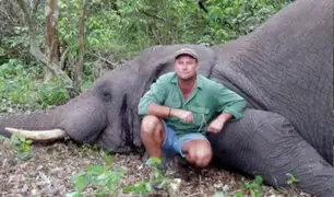 Zimbabue: muere famoso cazador aplastado por un elefante