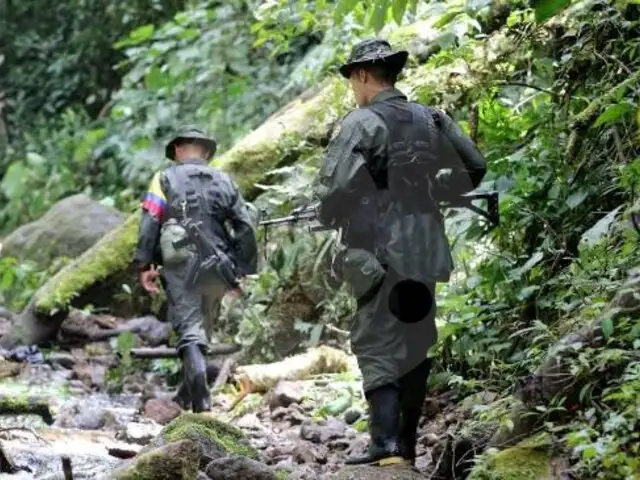 ONU realiza labores para liberar a funcionario secuestrado por disidentes de las FARC