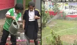 San Juan de Lurigancho: colegio recicla agua de aseo para regar biohuetos