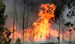 EEUU: incendio forestal consume miles de hectáreas en California y Arizona