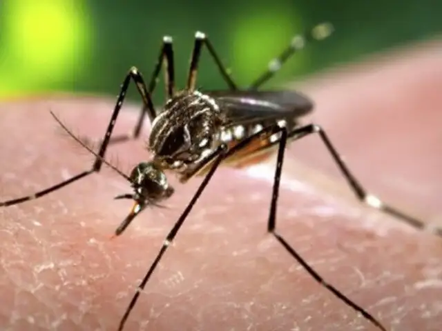 Virus del Zika podría usarse para tratar el cáncer, según estudio