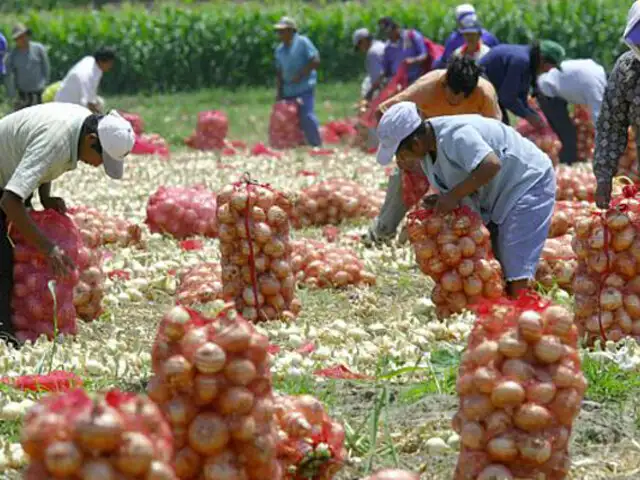 Ministerio de Agricultura ejecuta 25 proyectos de desarrollo agrario