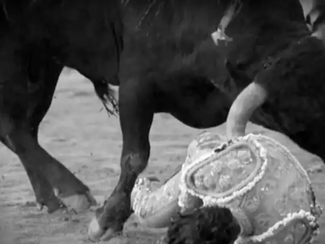 Francia: torero Iván Fandiño muere por cornada en el tórax