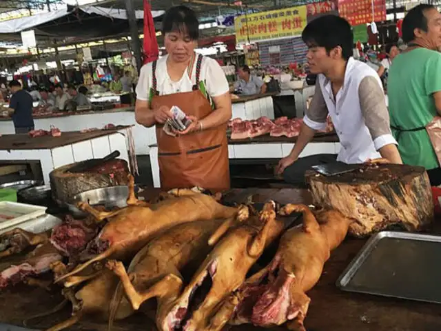 China: pese a críticas celebran el festival de la carne de perro