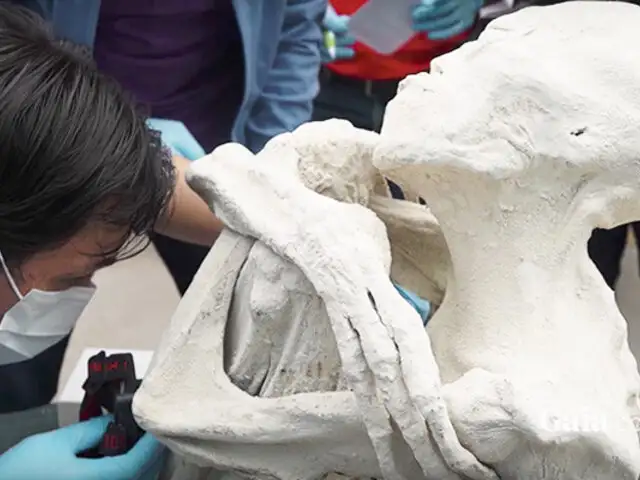 Nazca: científicos extranjeros estudian momia de supuesto extraterrestre