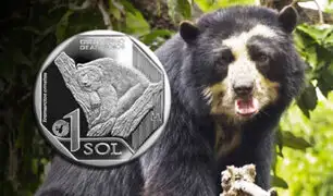 Oso andino abre nueva serie de monedas sobre fauna amenazada en nuestro país
