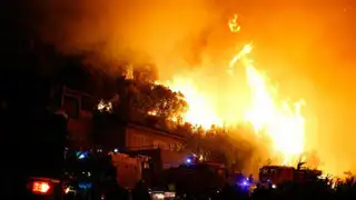 Incendio forestal consume 3 mil hectáreas de cultivos en Francia