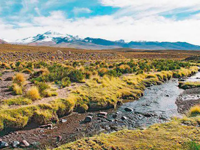 Chile avanzan en demanda contra Bolivia por aguas del río Silala