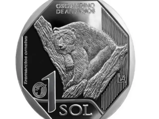 Presentan nueva moneda de S/ 1 alusiva al oso andino de anteojos