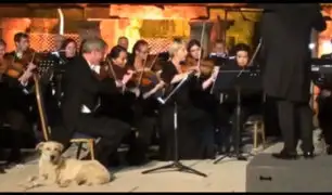 [VIDEO] Perro se roba el show en concierto de música clásica