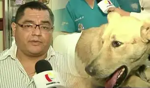 Habla sujeto acusado de apuñalar a perro en Villa El Salvador