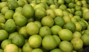 Precio del limón sube a 25% en los mercados