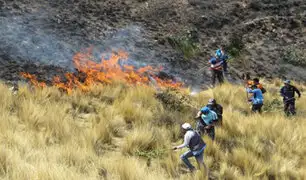 Incendio forestal afectó 800 hectáreas de pastizales en el Cusco