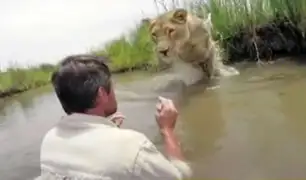 Mira el emotivo reencuentro entre una leona y su rescatista
