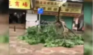 China: siete personas murieron tras el arrasador Tifón 'Hato'