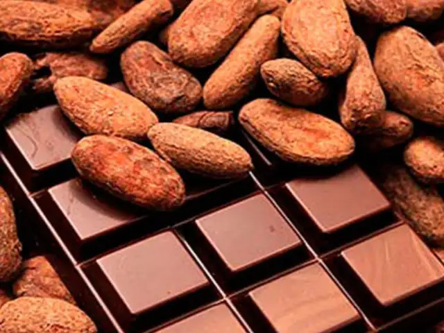 El cacao peruano es muy apreciado en muchos países del mundo