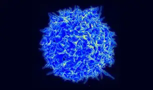 Un nuevo tratamiento contra el cáncer que reprograma las células humanas sale al mercado