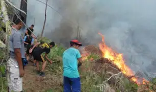 Incendio arrasa con bosques y animales silvestres en el Cusco