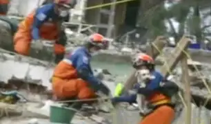 Terremoto en México: rescatan a un loro y un perro atrapados bajo los escombros