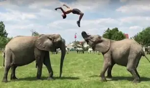 Joven húngaro realiza asombrosas acrobacias con elefantes