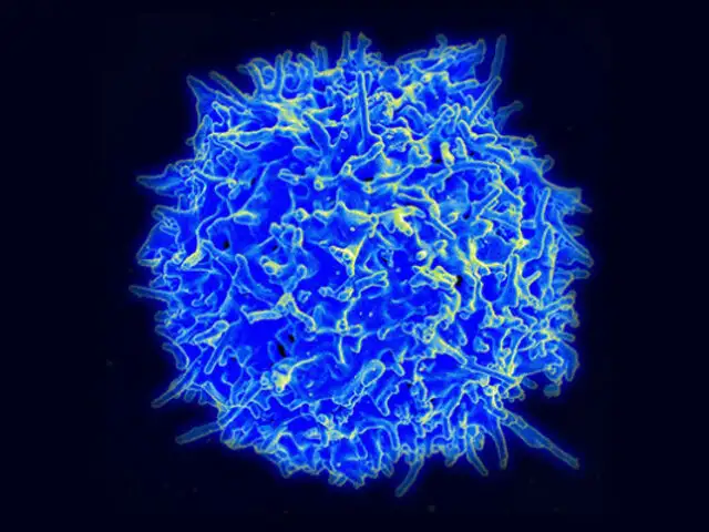 Un nuevo tratamiento contra el cáncer que reprograma las células humanas sale al mercado