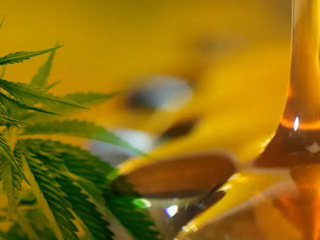 Cannabis medicinal: todo lo que debes saber sobre su uso con fines terapéuticos