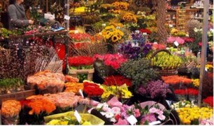 Así se vive un día en el Mercado de Flores de Lima