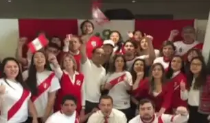 Embajadas y diversas instituciones se sumaron a la fiebre de la Selección Peruana