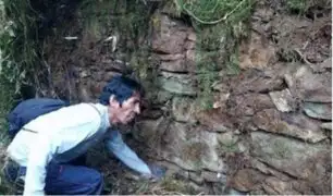 Cusco: pobladores descubren posible ciudadela inca cubierto por vegetación