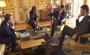 Perro del presidente de Francia se orinó en plena reunión de Gabinete Ministerial