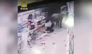 China: Búfalo embravecido atacó a embarazada quién resultó ilesa