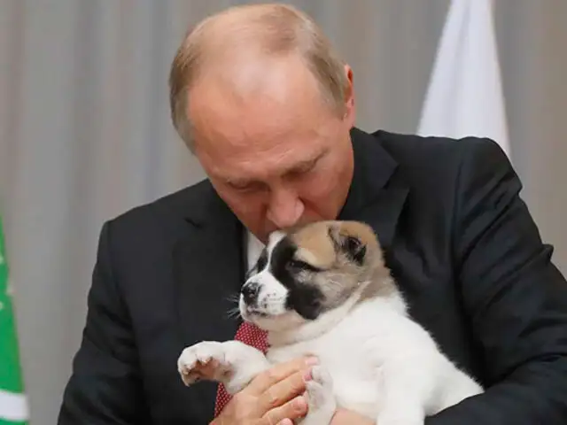 Rusia: Vladimir Putin recibe un cachorro como regalo de cumpleaños