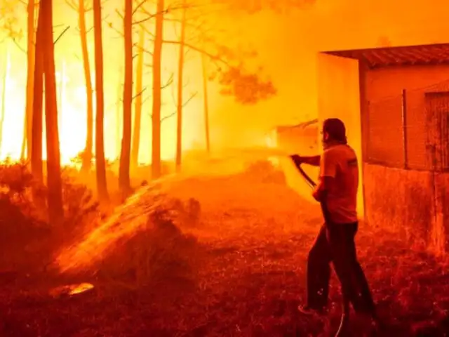 Al menos 30 muertos deja ola de incendios en Portugal