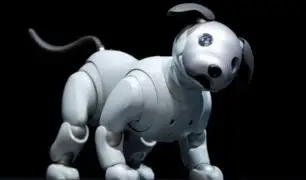 Japón: el perro robot Aibo regresa al mercado con inteligencia artificial