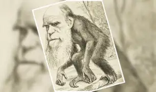 Darwin y el darwinismo: Las grandes polémicas tras un grande de la ciencia