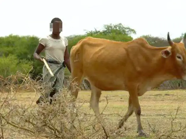 En Tanzania muchas niñas son intercambiadas por ganado
