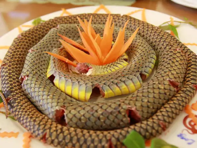 Vietnam: restaurante se especializa en platos preparados con carne de serpiente