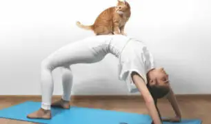 Yoga con gatos: una novedosa terapia para reducir el estrés
