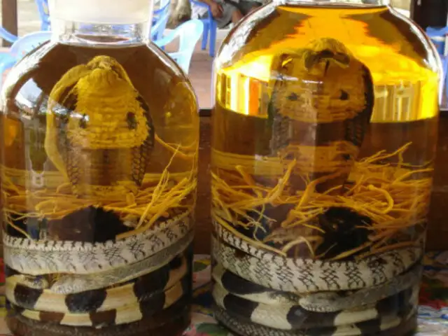 China: ¿Probarías un vino preparado a base de cobras?