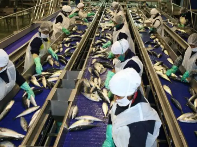 Brasil suspende exportaciones de pescado a la Unión Europea