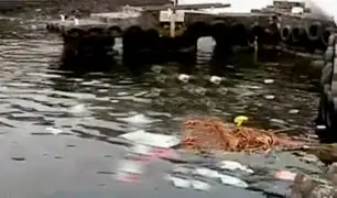 Mar de Pucusana contaminado por gran cantidad de basura