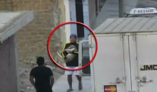 Trujillo: cámara capta a sujeto robando cachorro de raza pitbull