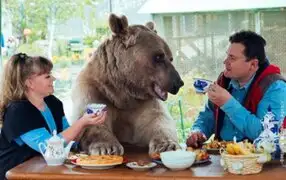 Conozca a Stephan, el oso domesticado que vive con una familia en Rusia