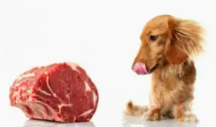 ¿Qué riesgos existen si consume carne de perro o gato?