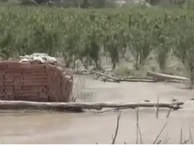 Cañete: desborde de río Mala afecta varias áreas de cultivo