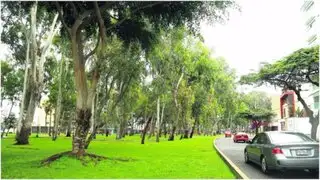 San Isidro: PJ ratifica prohibición de ampliación de avenida Aramburú