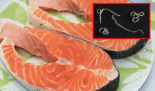 Sushi: comer pescado crudo podría contagiarlo del peligroso anisaki